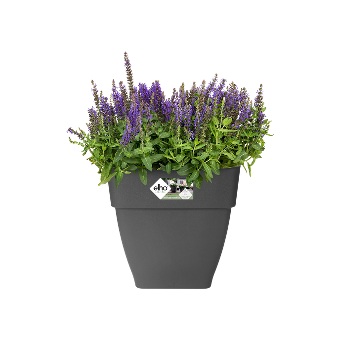 vibia campana square 37cm anthracite